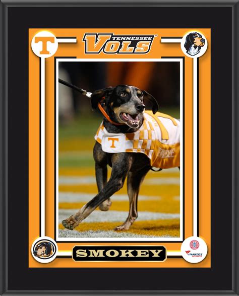 How Smokey the Tennessee Volunteers Mascot Strengthens Team Spirit